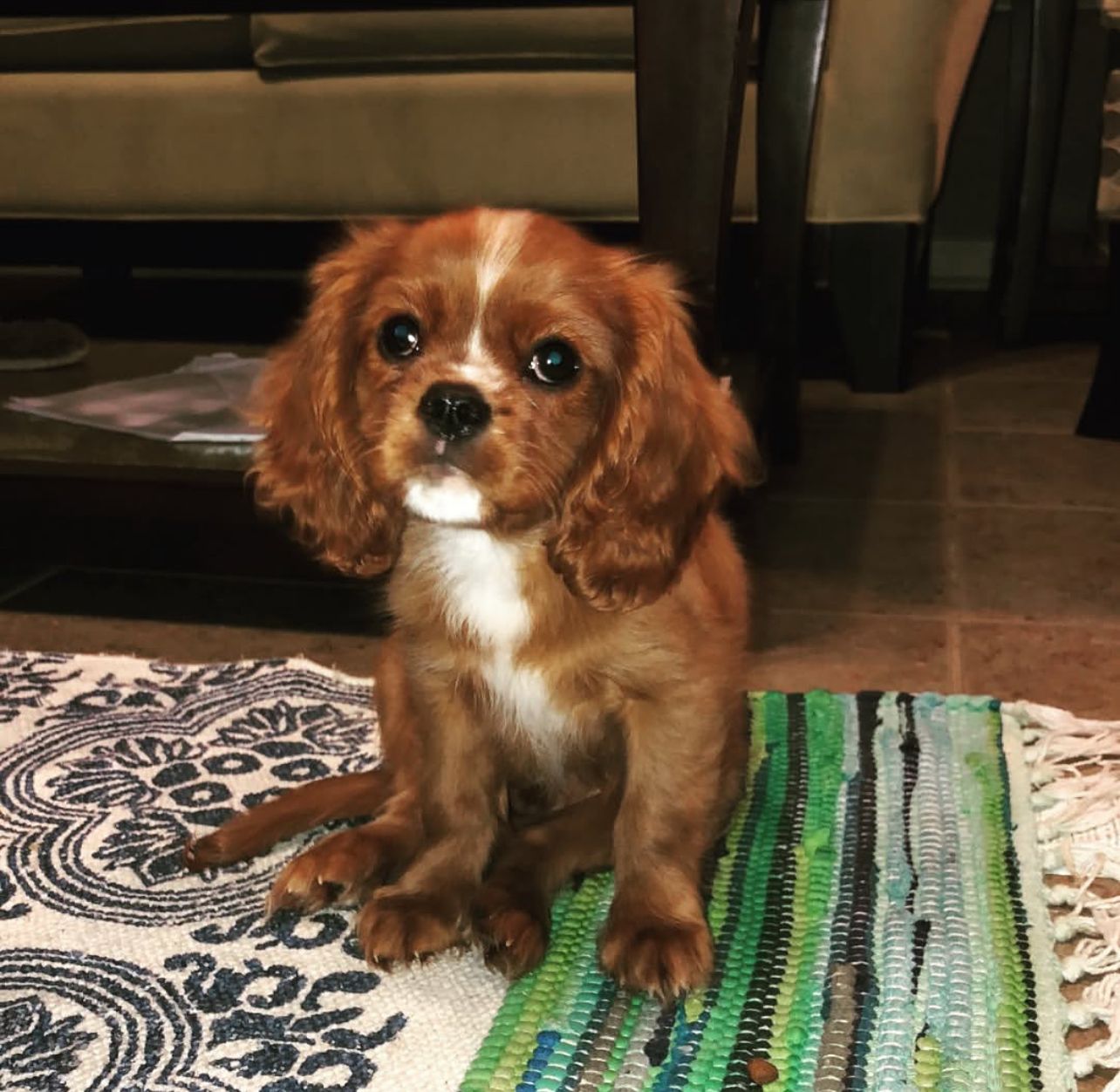 Cooper